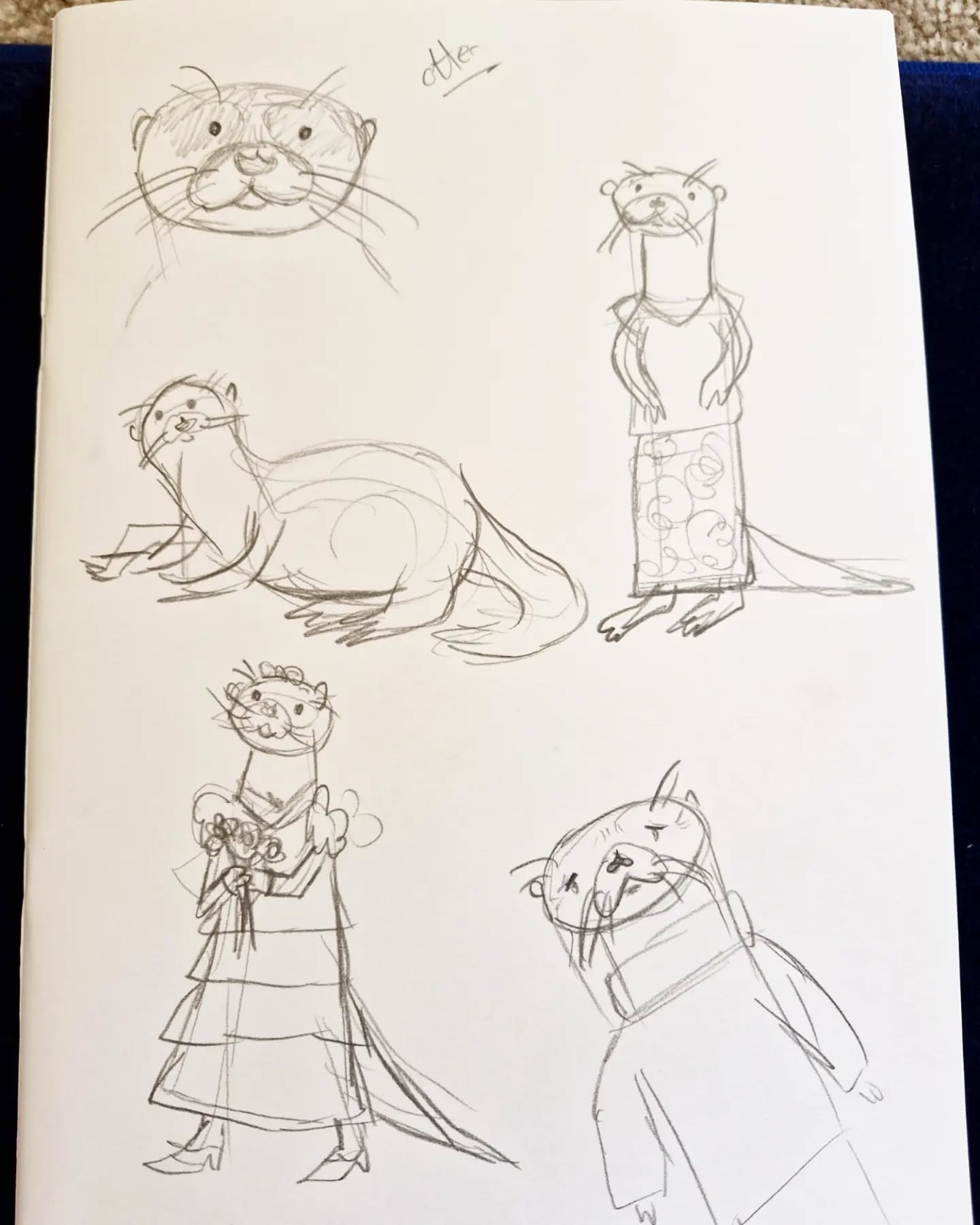 Nice to remind myself that I can still draw! What do you think of these otters?
#art #artwork #illustration #illustrations #otter #wildlife #sketch #doodle